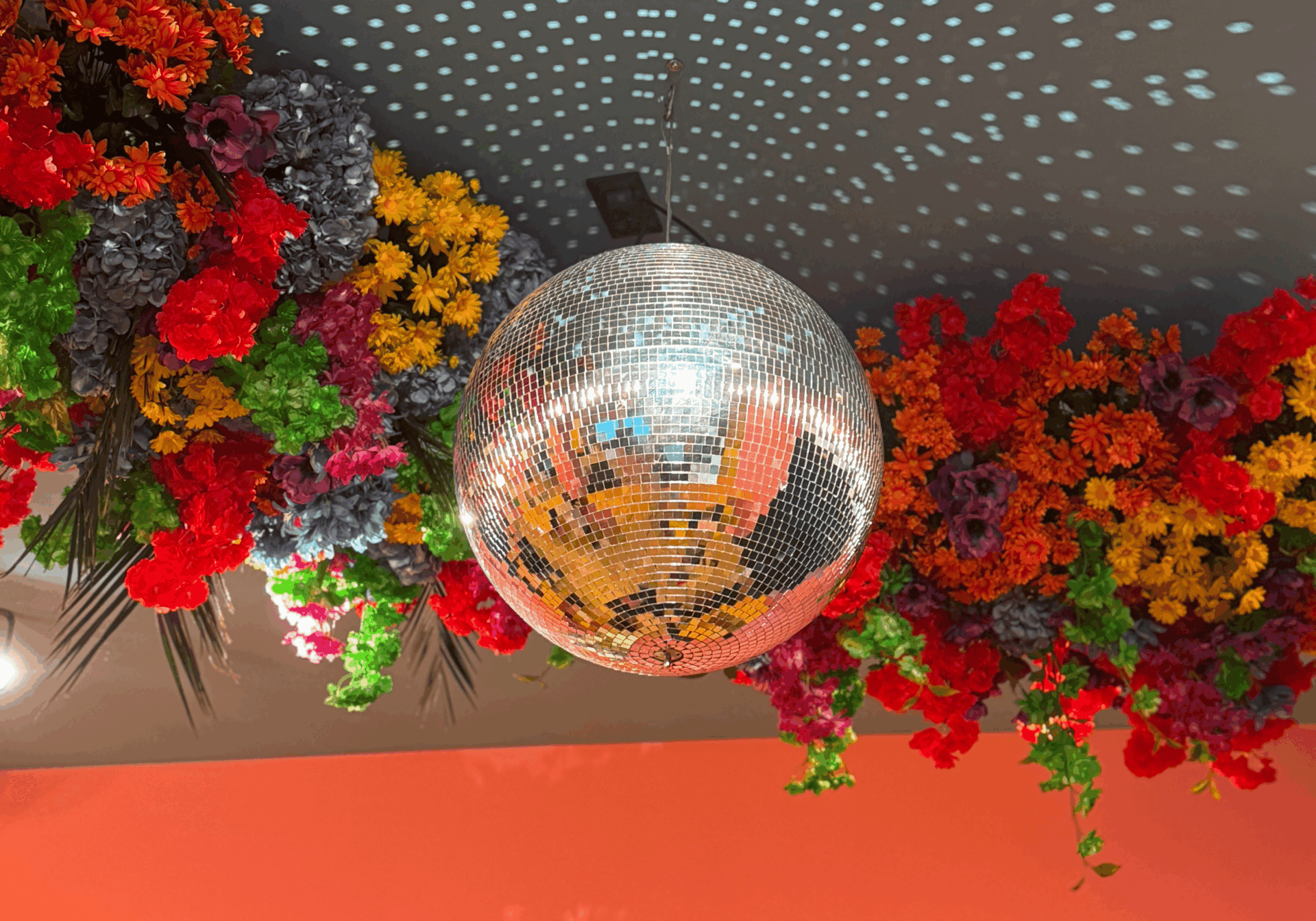 Shelter Annecy boule disco