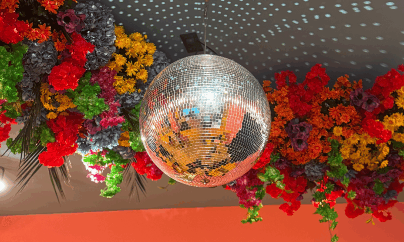 Shelter Annecy boule disco