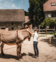 Ferme de Chozal annecy