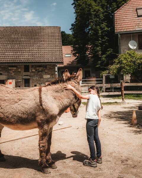 Ferme de Chozal annecy