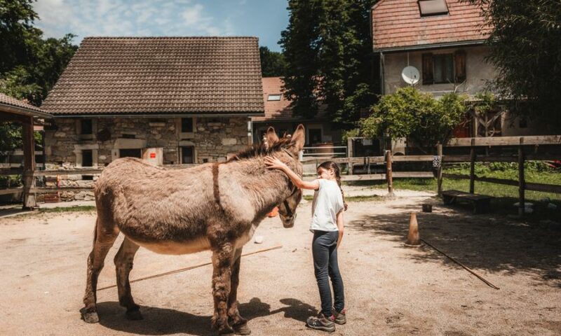 Ferme de Chozal annecy