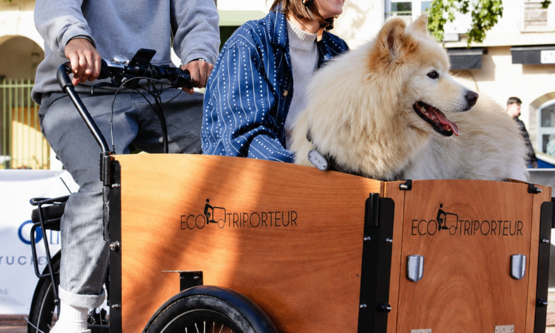 ecotriporteur-annecy-transport-famille