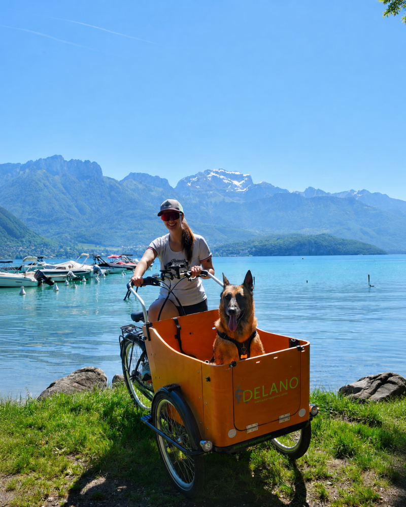 ecotriporteur-annecy-transport
